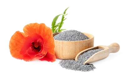 Composition with poppy seeds and flower on white background