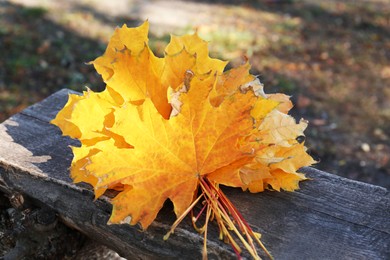 Beautiful dry leaves on wooden bench outdoors. Autumn season