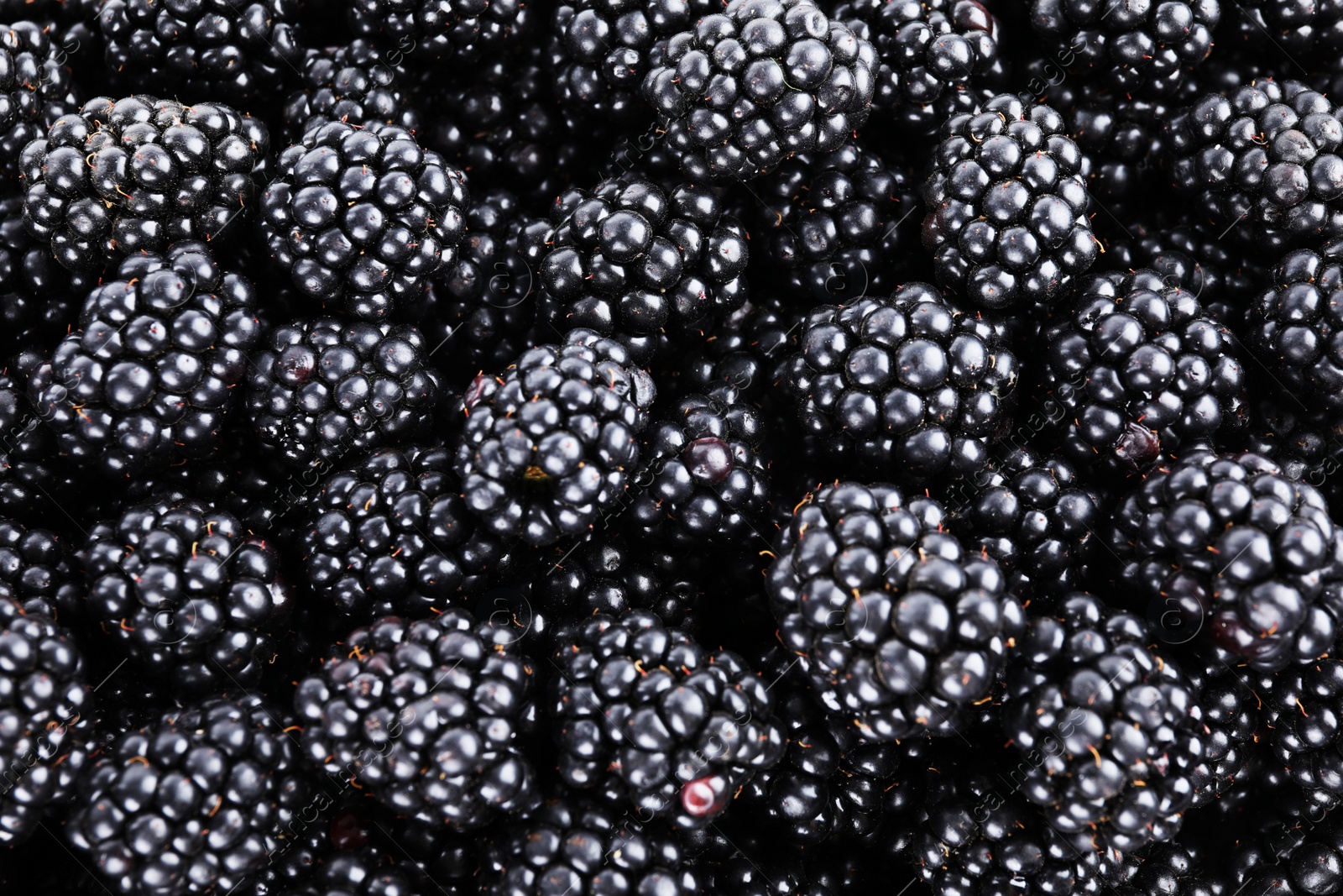 Photo of Tasty ripe blackberries as background, top view