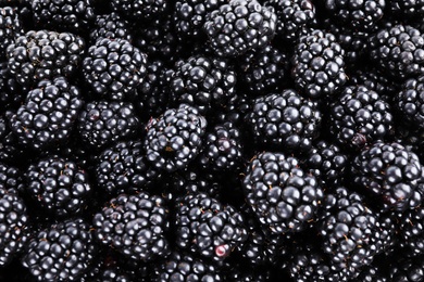 Tasty ripe blackberries as background, top view