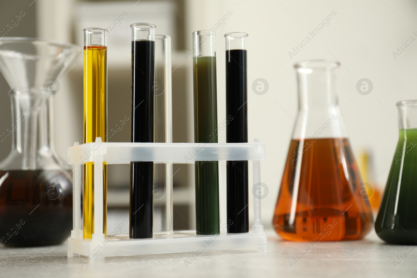 Photo of Laboratory glassware with different types of crude oil on light grey table