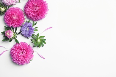 Beautiful aster flowers on white background, top view. Space for text