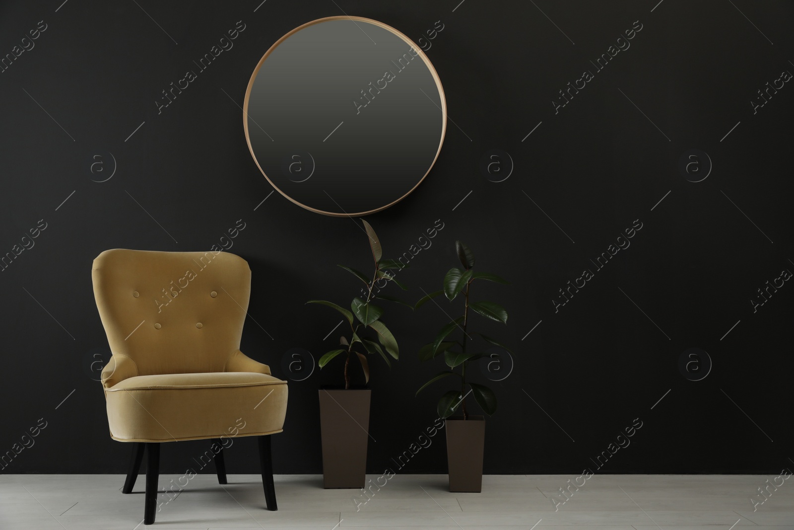 Photo of Stylish armchair and houseplants near black wall. Interior design