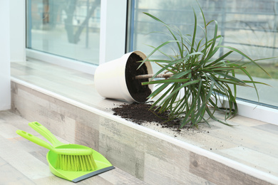 Overturned pot with plant on window sill