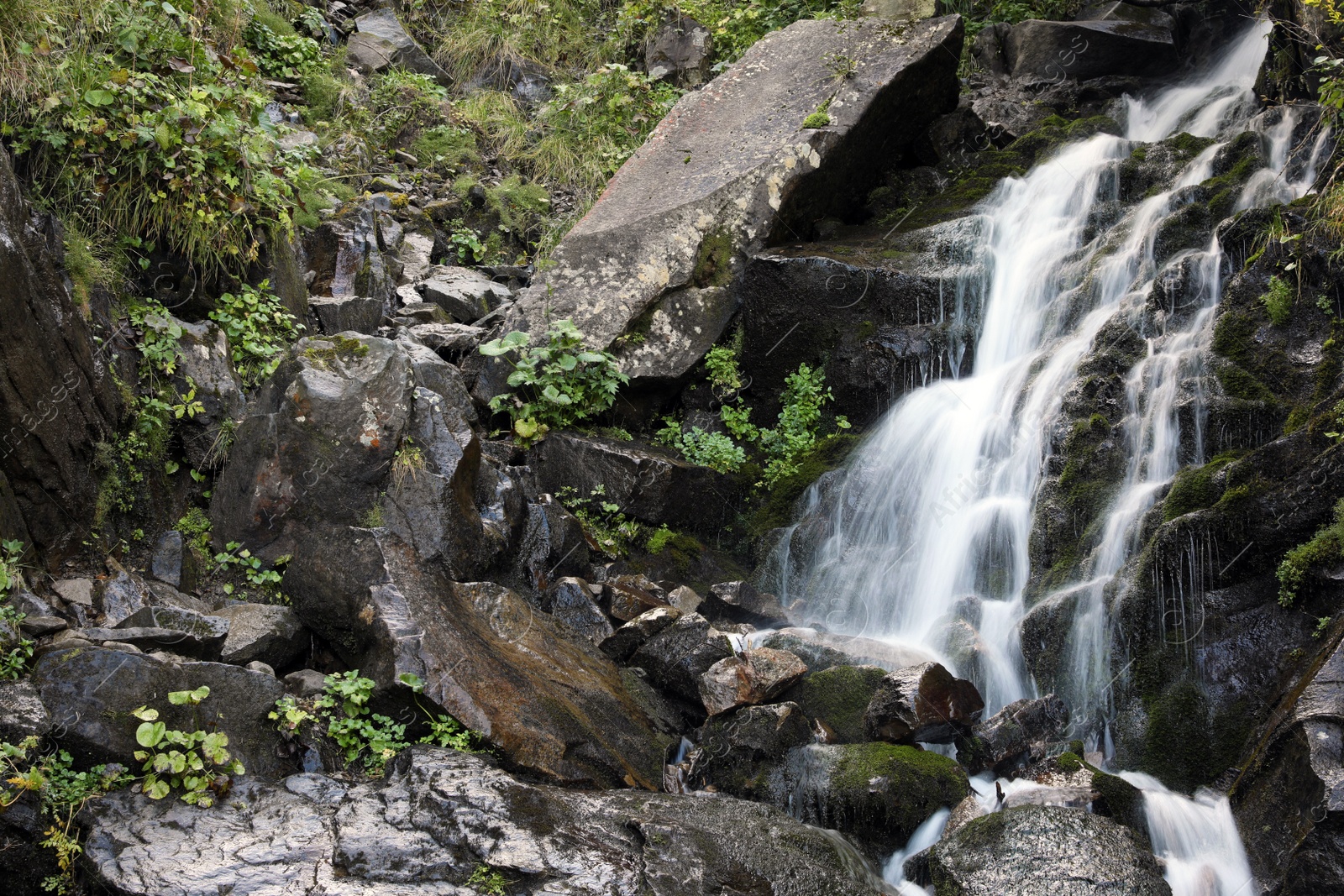 Photo of Picturesque view of mountain waterfall and green plants