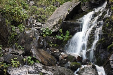 Photo of Picturesque view of mountain waterfall and green plants