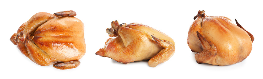 Image of Collection of cooked turkey on white background. Banner design