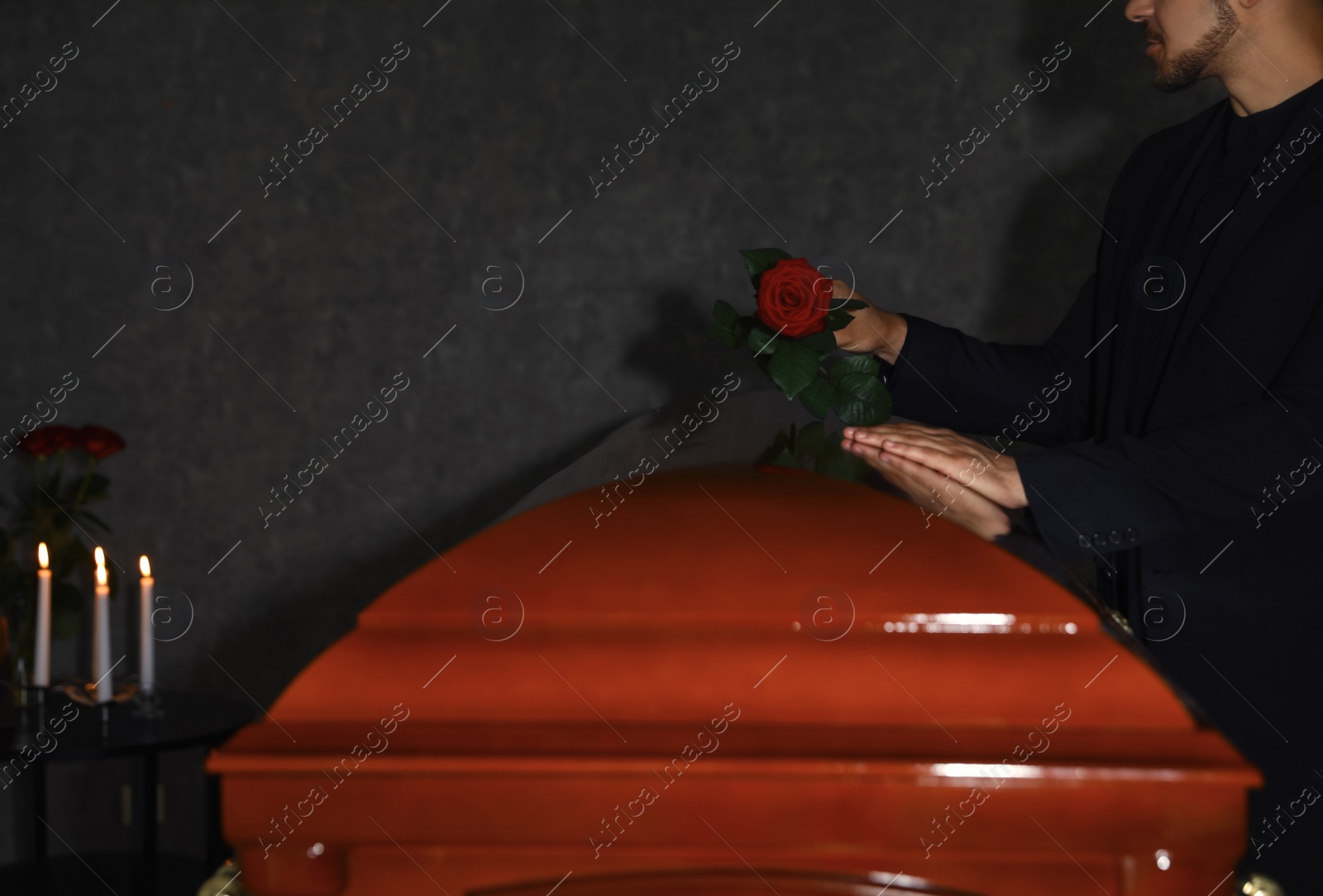 Photo of Young man putting red rose onto casket lid in funeral home, closeup