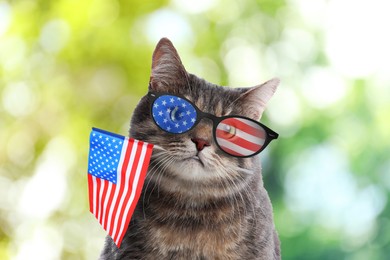 4th of July - Independence Day of USA. Cute cat with sunglasses and American flag on blurred green background, bokeh effect
