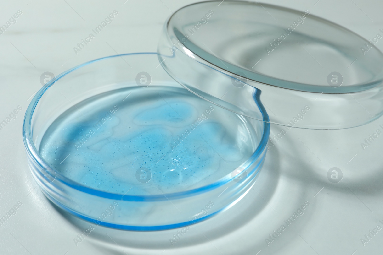 Photo of Petri dish with liquid and lid on white marble table, closeup