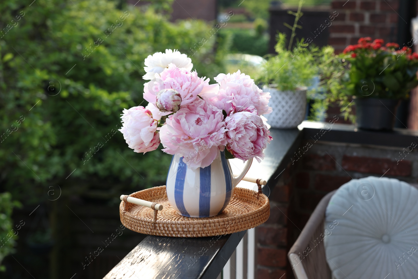 Photo of Beautiful pink peony flowers in vase on balcony railing outdoors