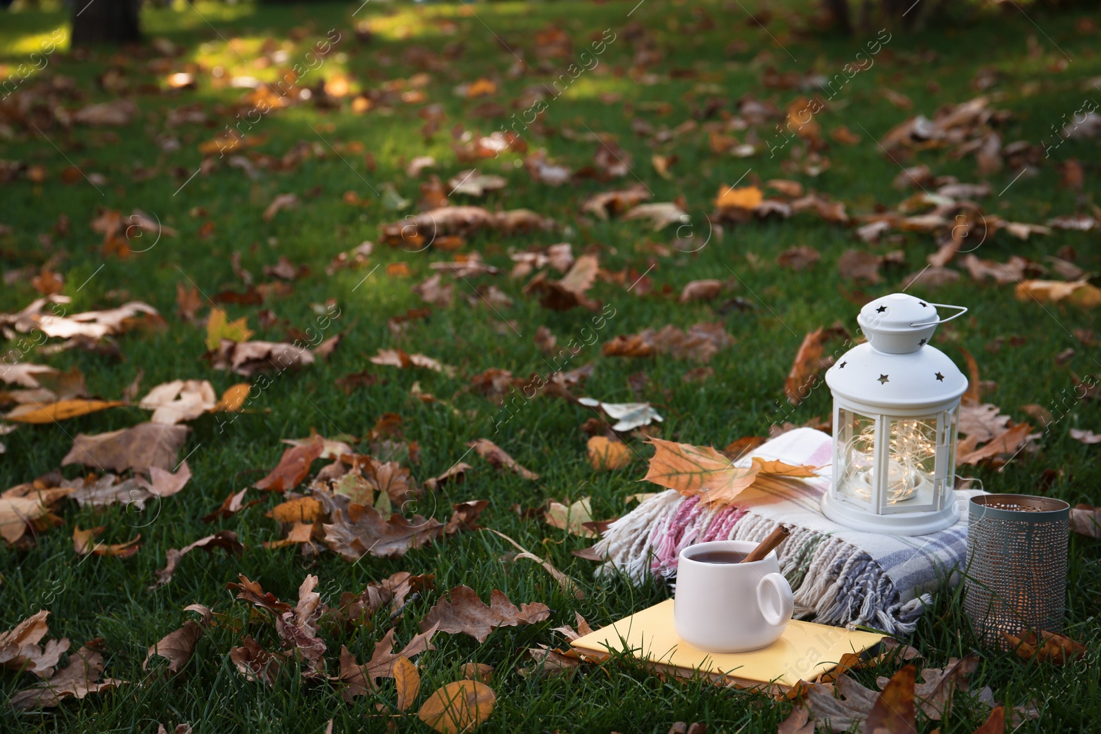 Photo of Composition with cup of coffee, book, plaid and autumn leaves on green grass outdoors. Space for text