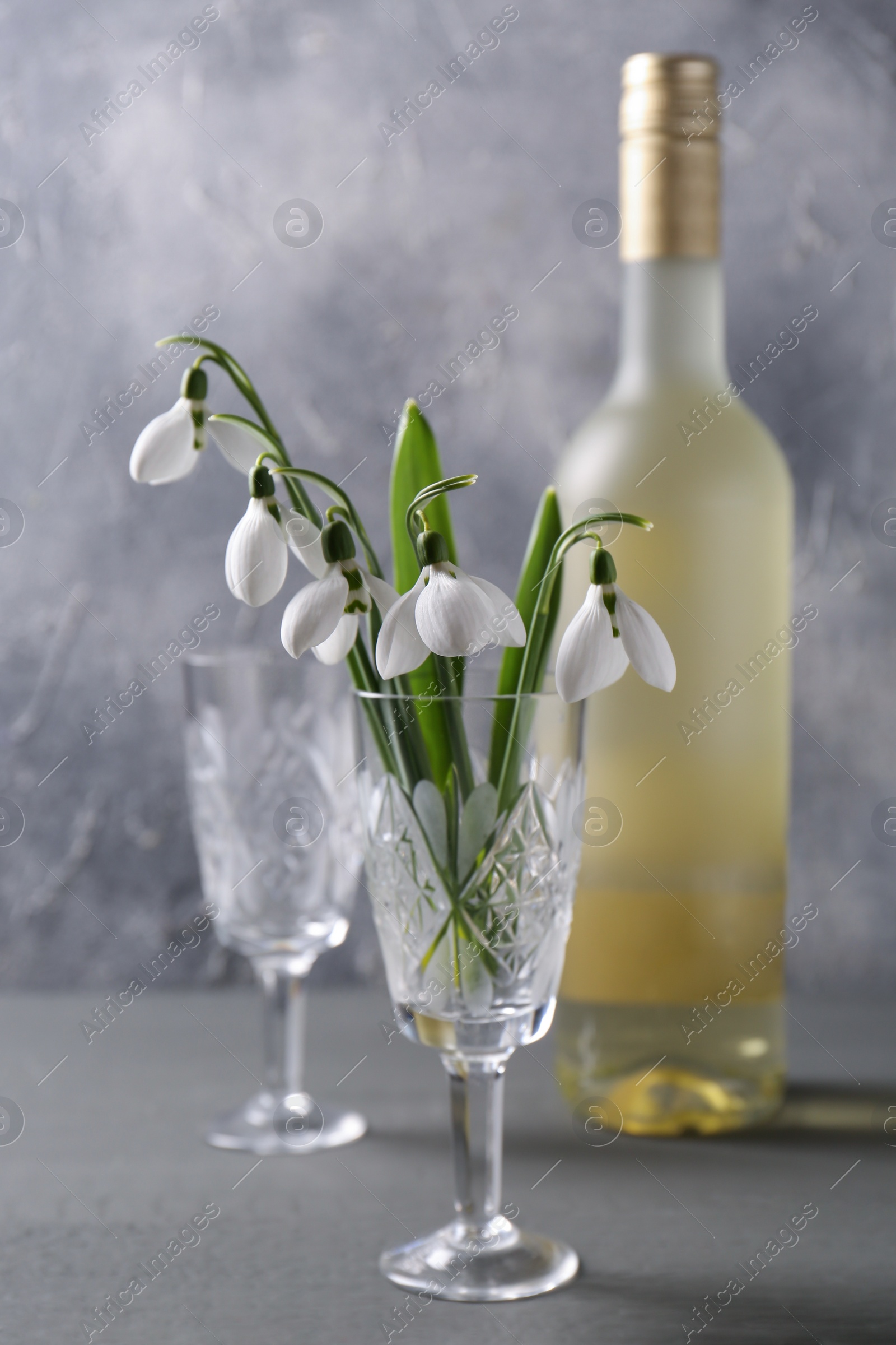 Photo of Beautiful snowdrops in glass and bottle on grey table