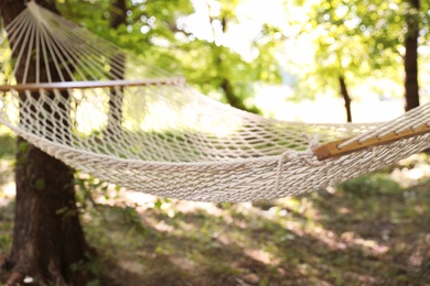 Empty hammock outdoors on sunny day. Summer camp