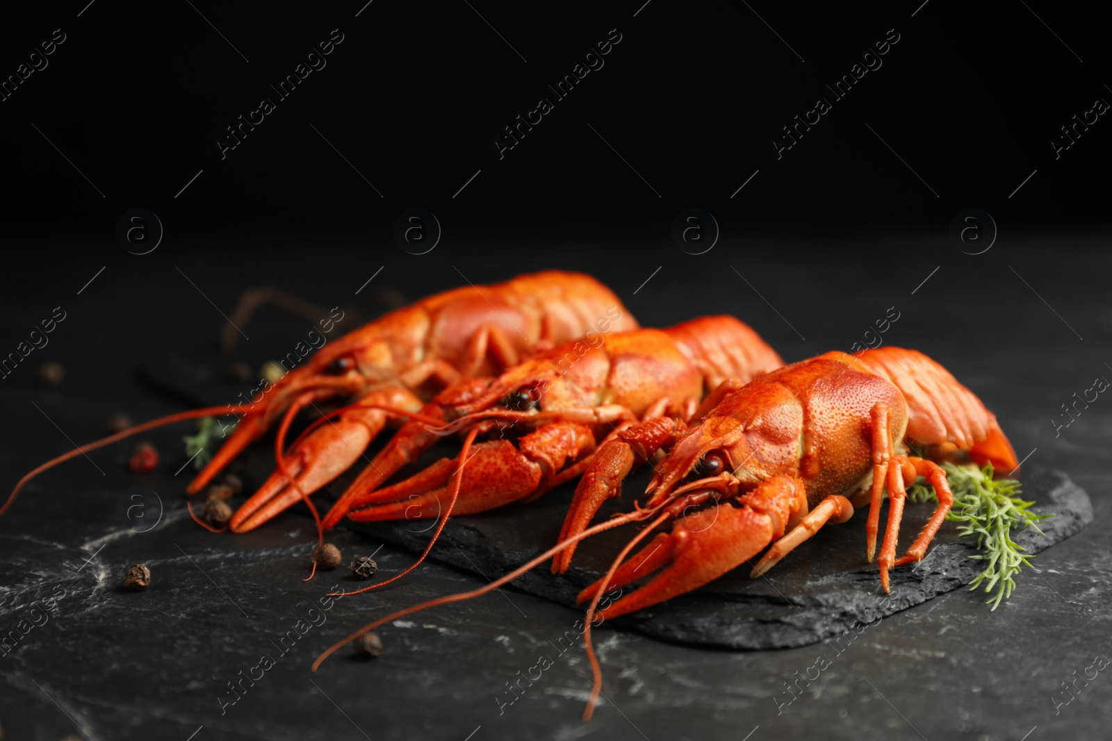 Photo of Delicious boiled crayfishes with dill and pepper on black table