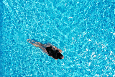 Image of Beautiful young woman swimming in pool, top view. Space for text