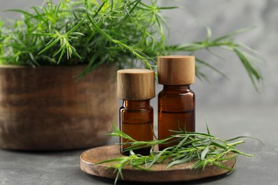 Bottles of essential oil and fresh tarragon leaves on grey table