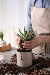 Photo of Woman transplanting Aloe into pot at table indoors, closeup. House plant care