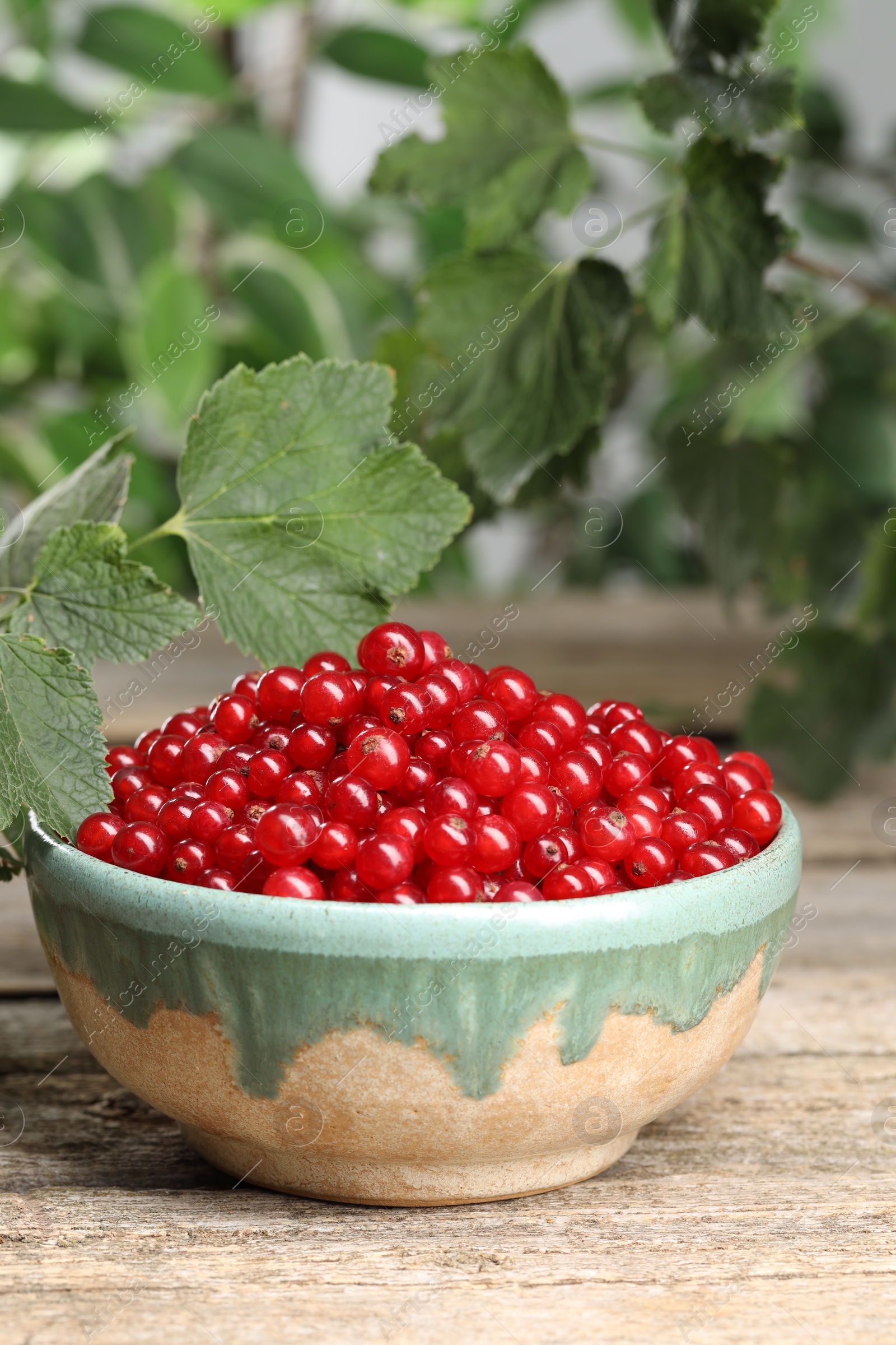 Photo of Ripe red currants in bowl on wooden table. Space for text