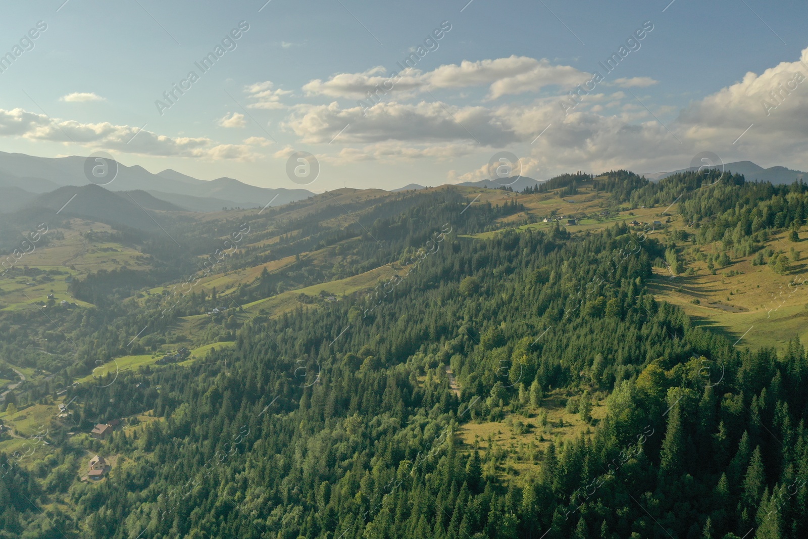 Photo of Aerial view of beautiful mountain landscape with forest on sunny day