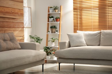 Decorative wooden ladder in stylish living room interior