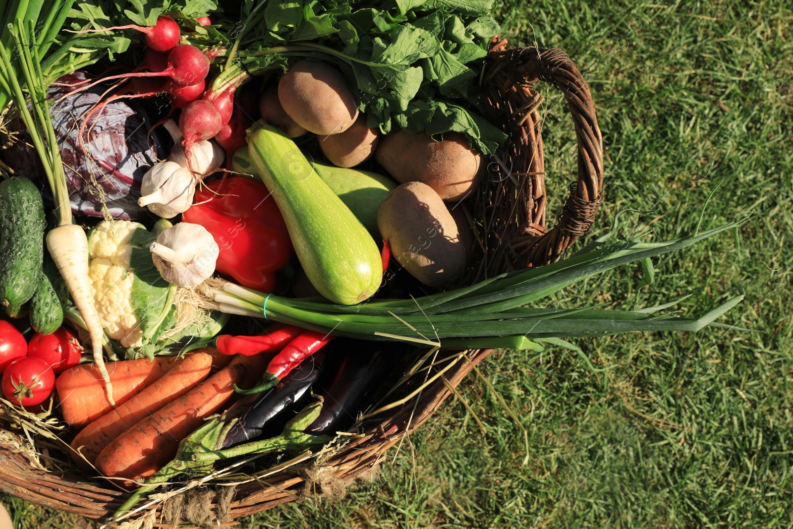 Photo of Different fresh ripe vegetables in wicker basket on green grass, top view