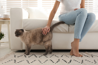 Photo of Young woman with cute cat at home. Fluffy pet