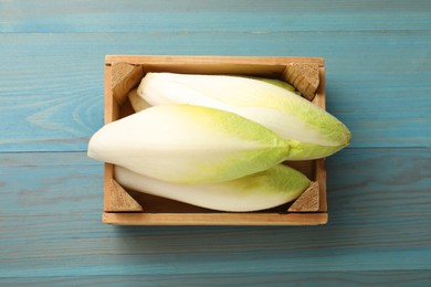 Photo of Fresh raw Belgian endives (chicory) in crate on light blue wooden table, top view