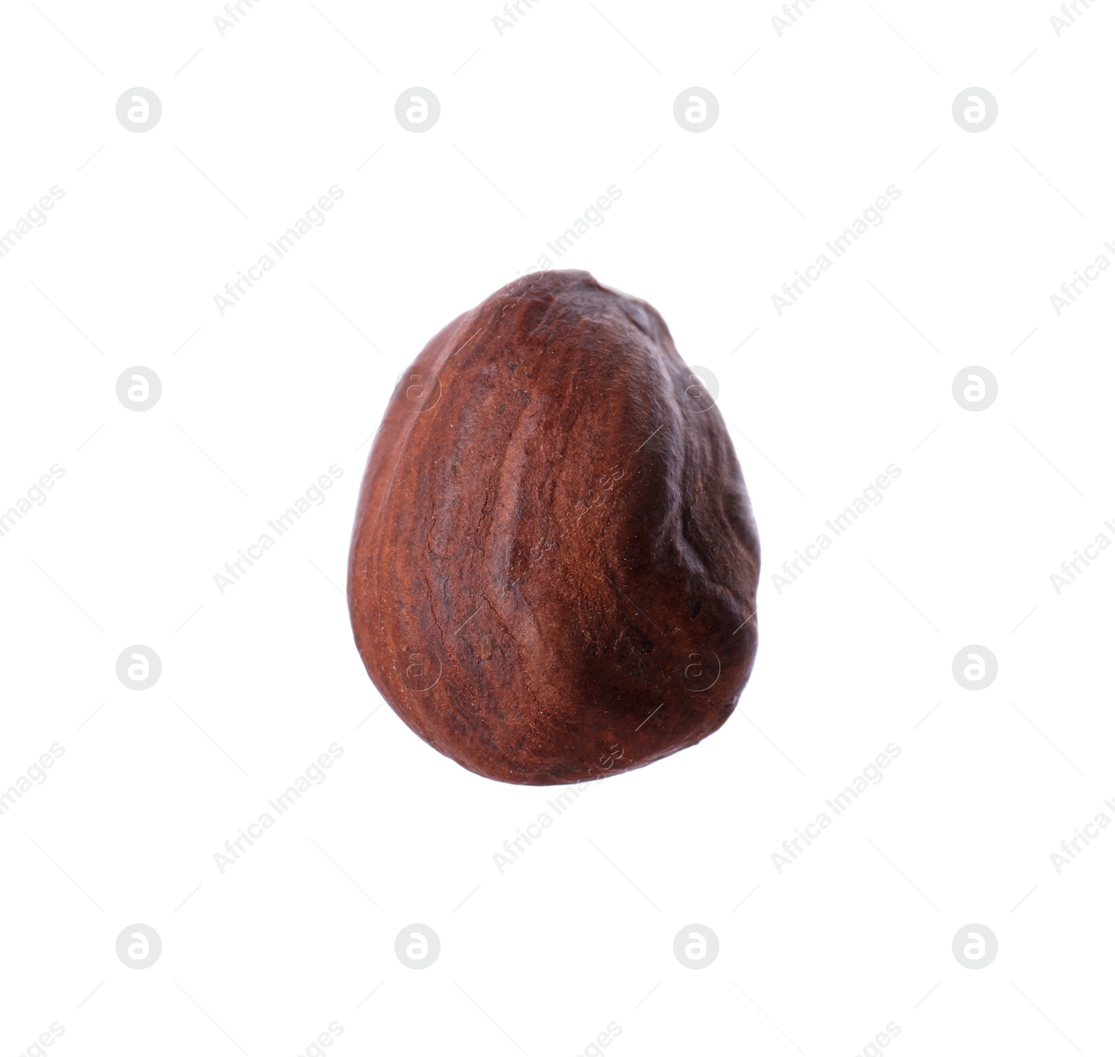 Photo of One delicious hazel nut isolated on white