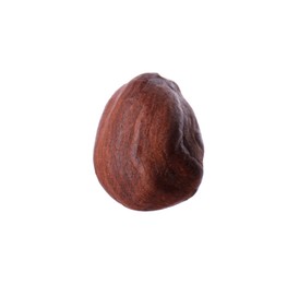 One delicious hazel nut isolated on white