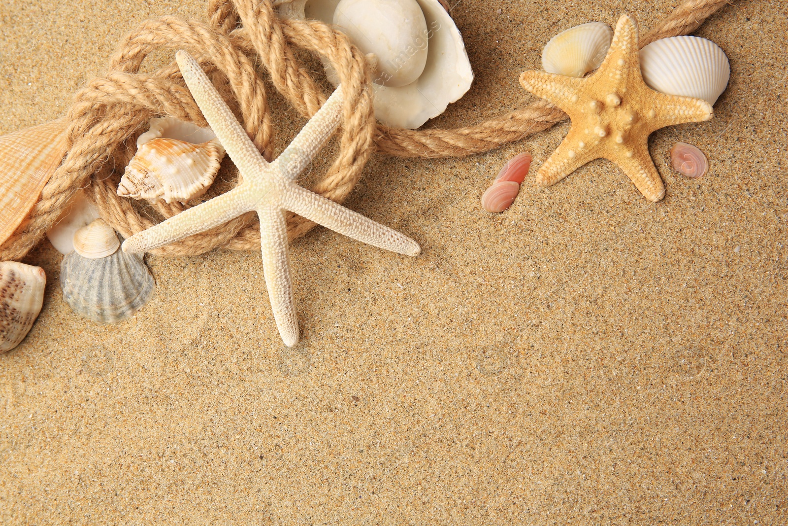 Photo of Beautiful sea stars, shells and rope on sand, flat lay. Space for text