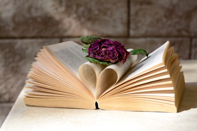 Photo of Book with beautiful dried flower on light table