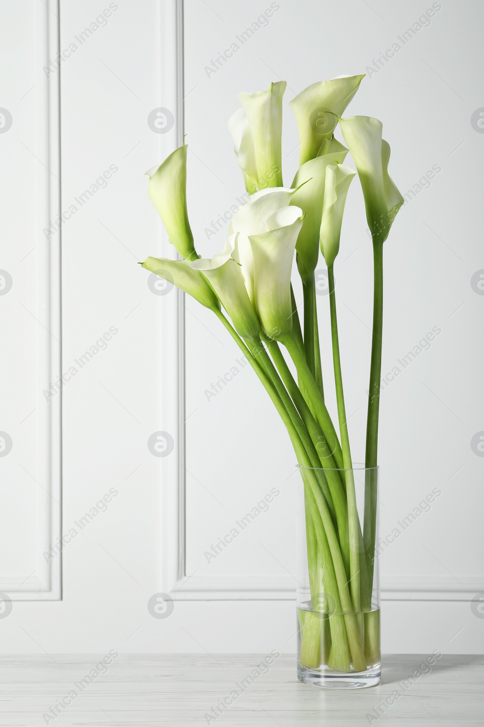 Photo of Beautiful calla lily flowers in vase on white table