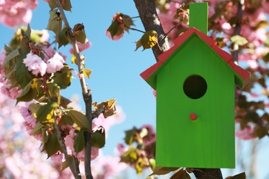 Photo of Green bird house hanging on tree branch outdoors. Space for text
