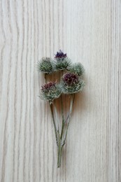 Photo of Beautiful burdock flowers on light wooden table, top view