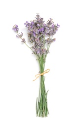 Beautiful blooming lavender flowers on white background