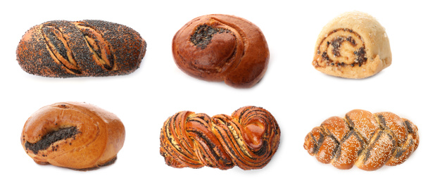 Image of Set of different pastries with poppy seeds on white background. Banner design 