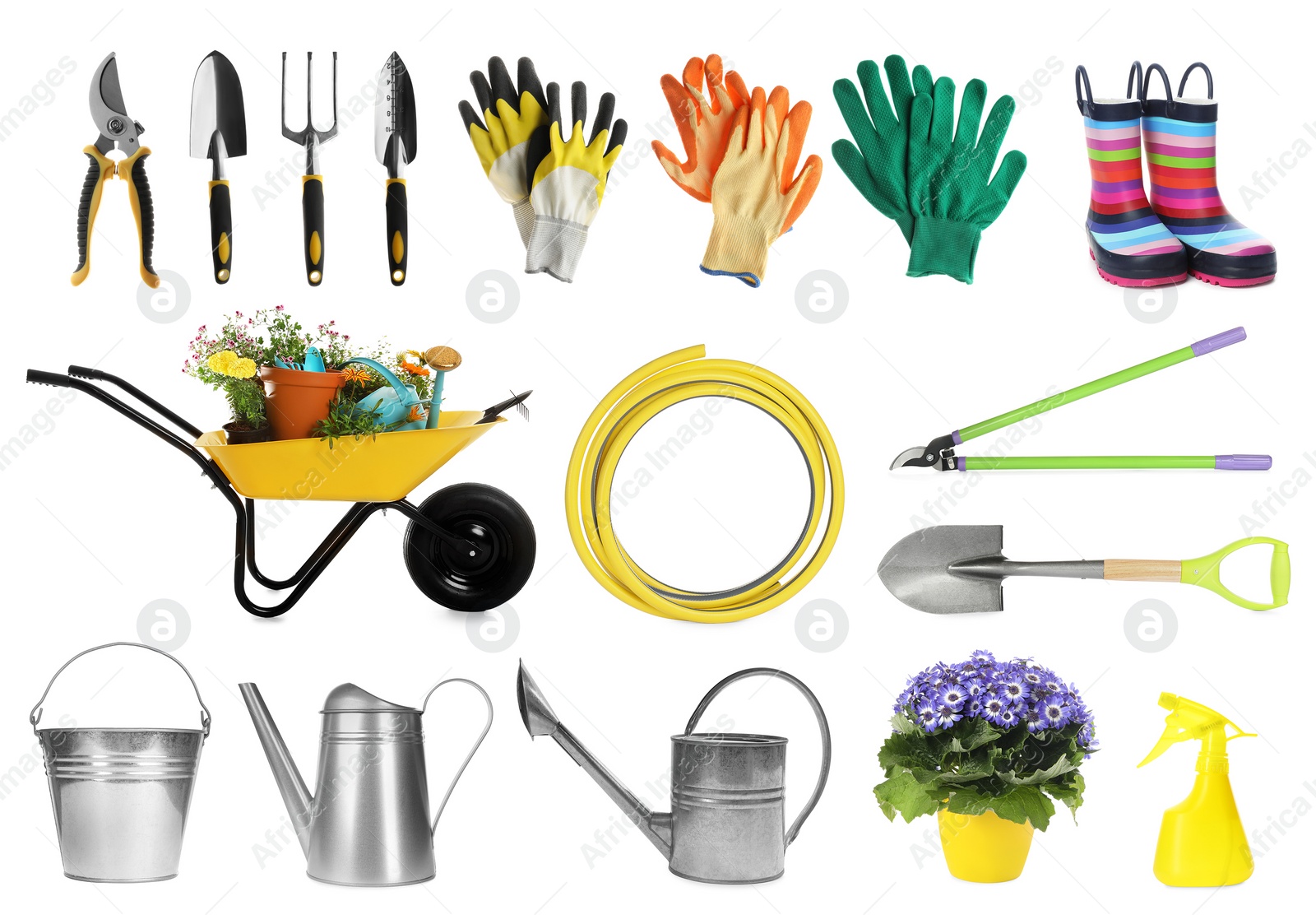 Image of Set with different gardening tools on white background