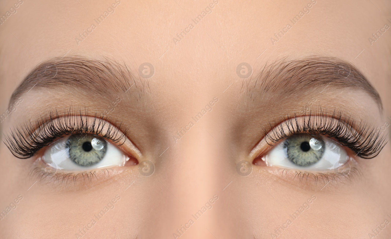 Image of Beautiful woman with perfect eyebrows, closeup view