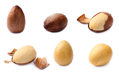 Image of Collage with process of avocado pit cleaning on white background