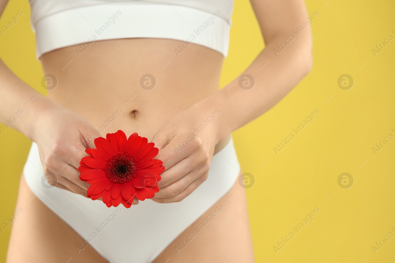 Photo of Gynecology. Woman in underwear with gerbera flower on yellow background, closeup