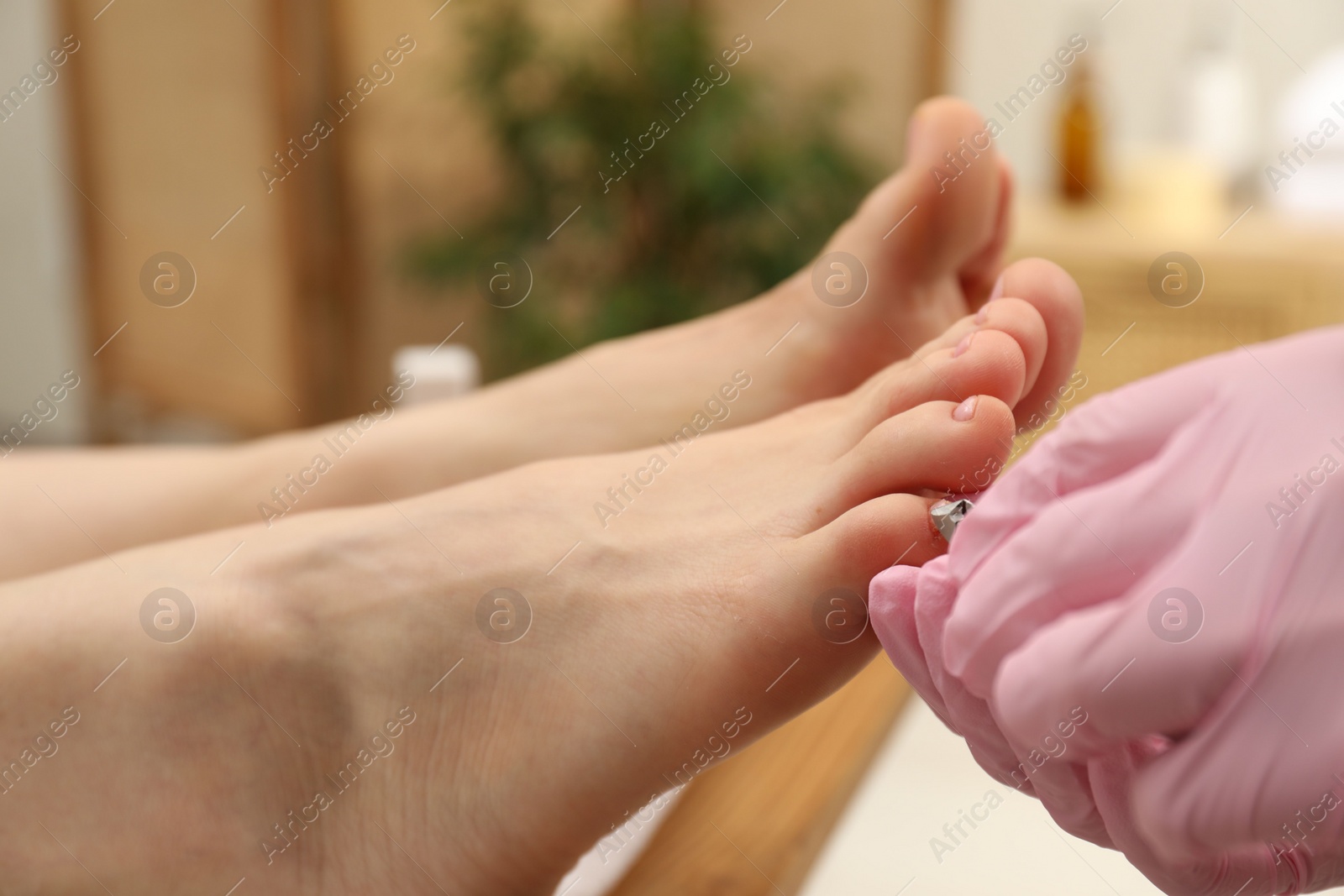 Photo of Professional pedicurist cutting client`s toenails with clipper in beauty salon, closeup