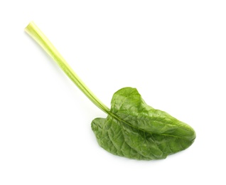 Fresh leaf of spinach isolated on white, top view