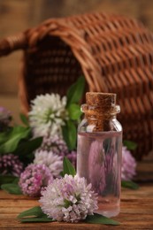 Beautiful clover flowers and essential oil on wooden table