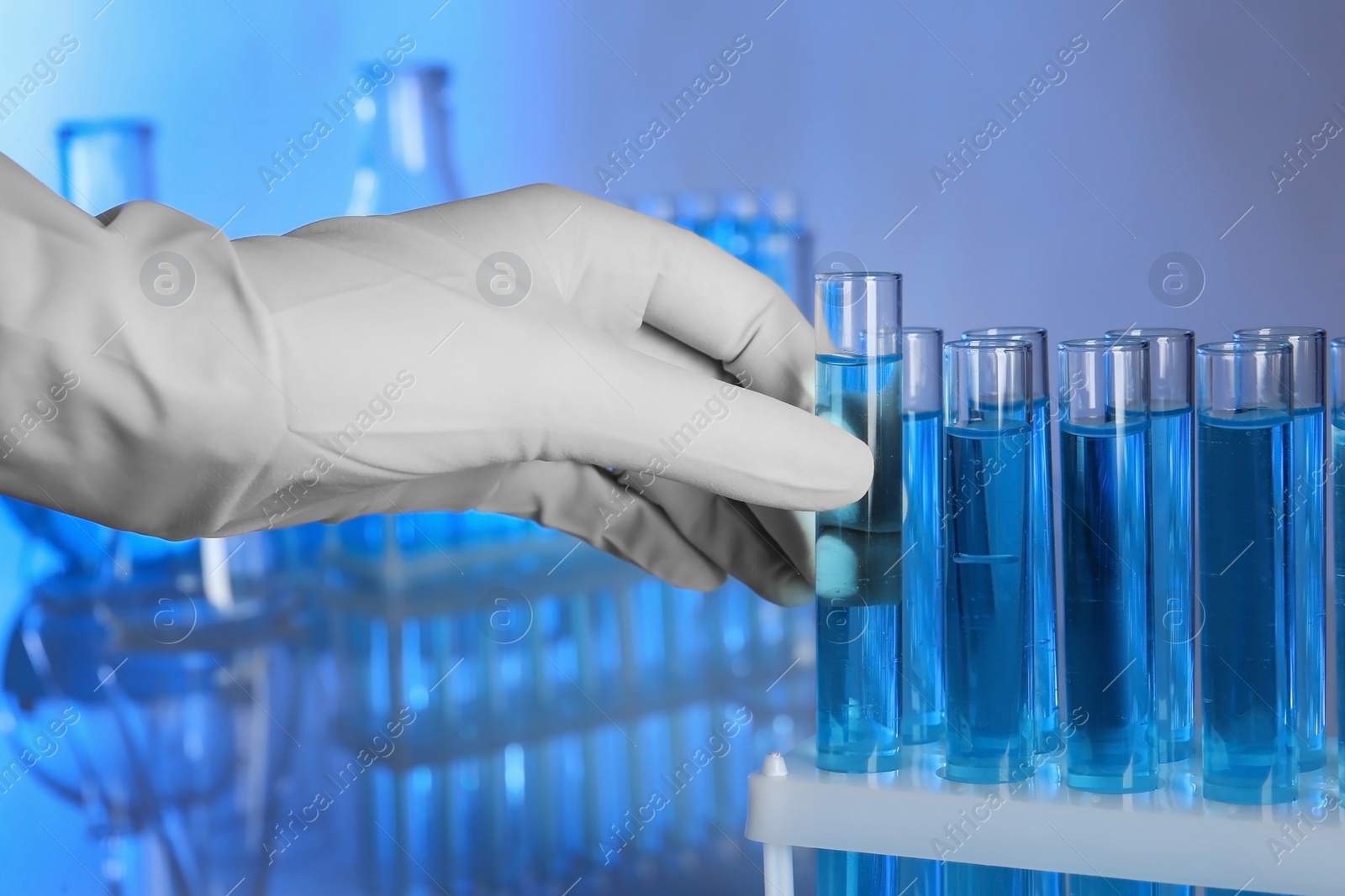 Photo of Scientist taking test tube from holder, closeup. Laboratory analysis