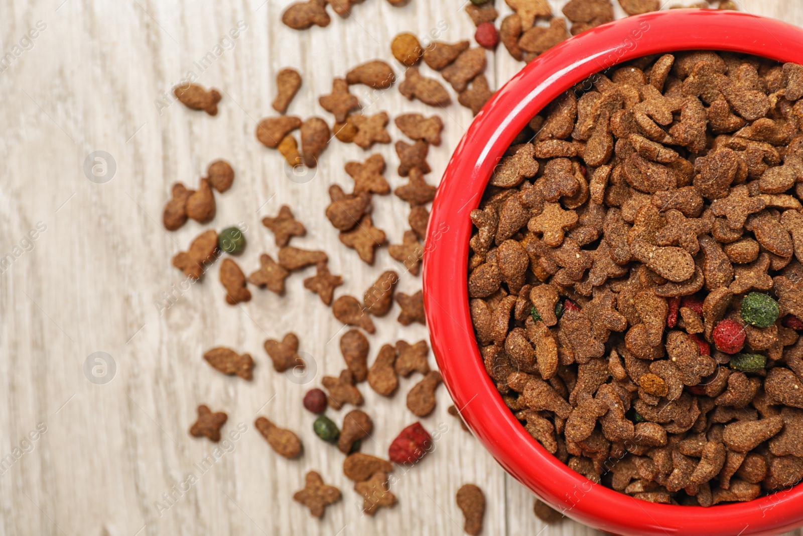 Photo of Bowl with food for cat or dog on wooden background. Pet care