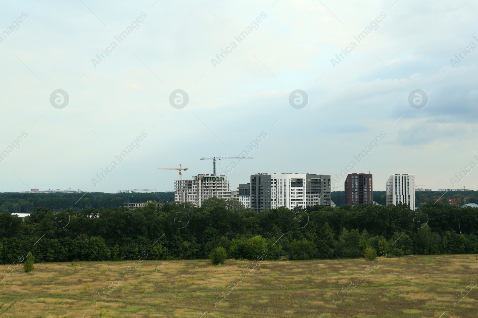 Photo of Beautiful landscape with trees, buildings and cranes on construction site