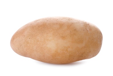 Photo of Fresh ripe organic potato on white background