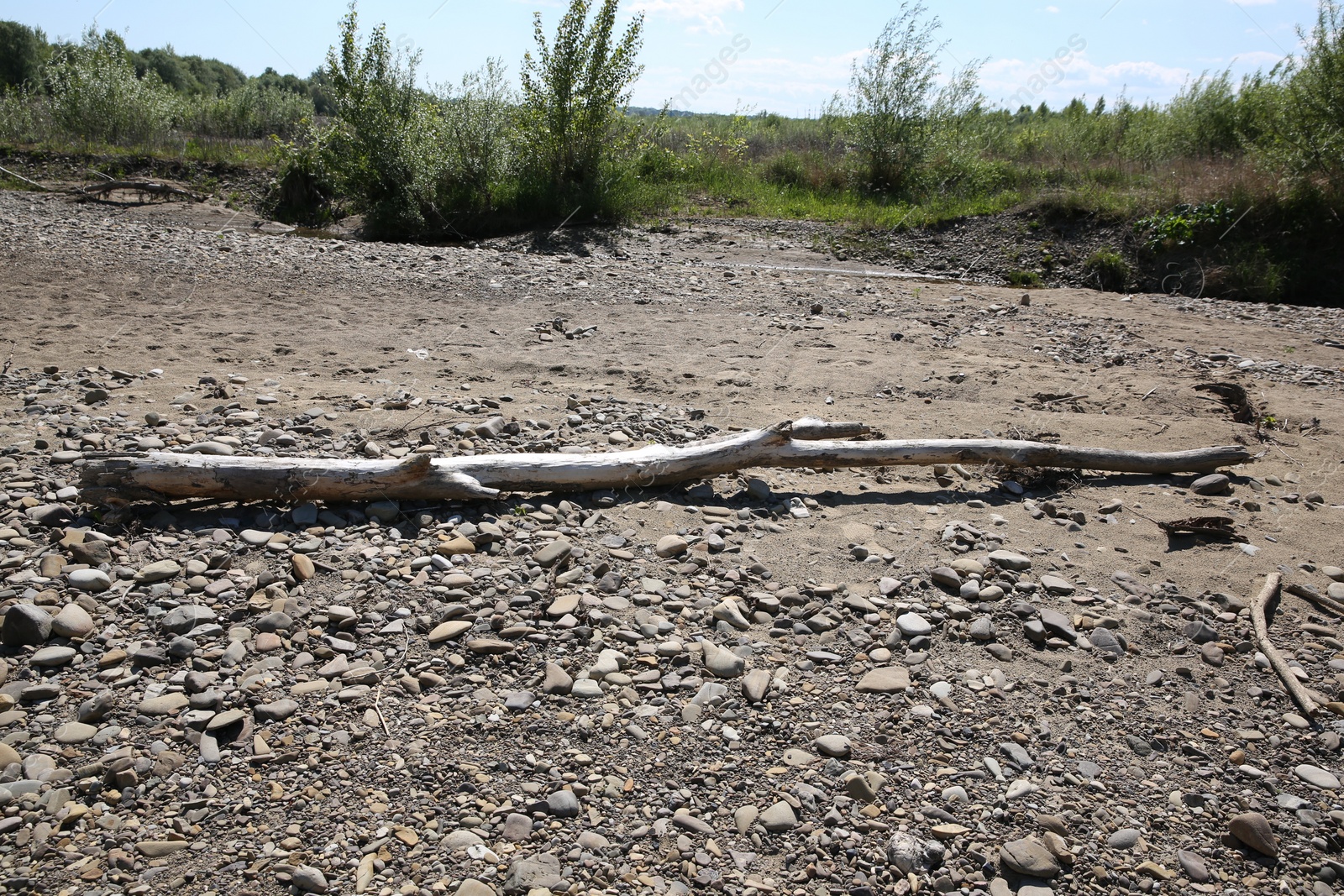 Photo of One dry tree branch on ground outdoors