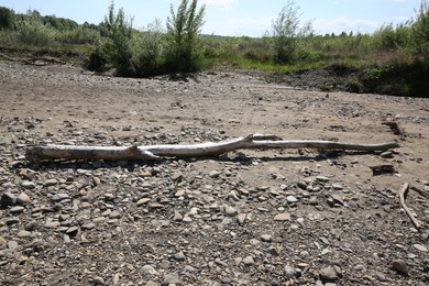 Photo of One dry tree branch on ground outdoors